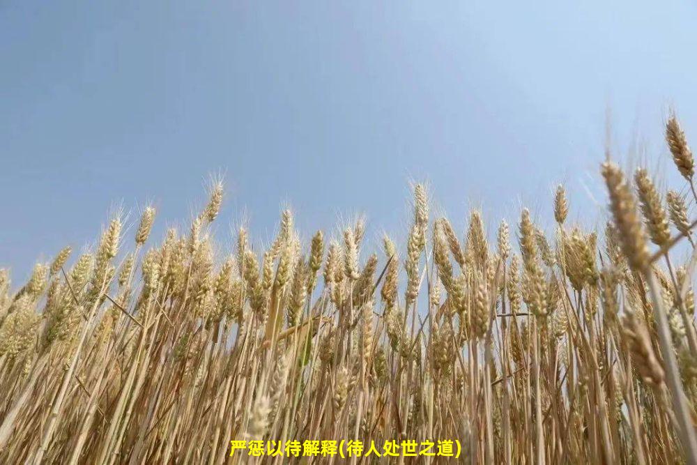 严惩以待解释(待人处世之道)