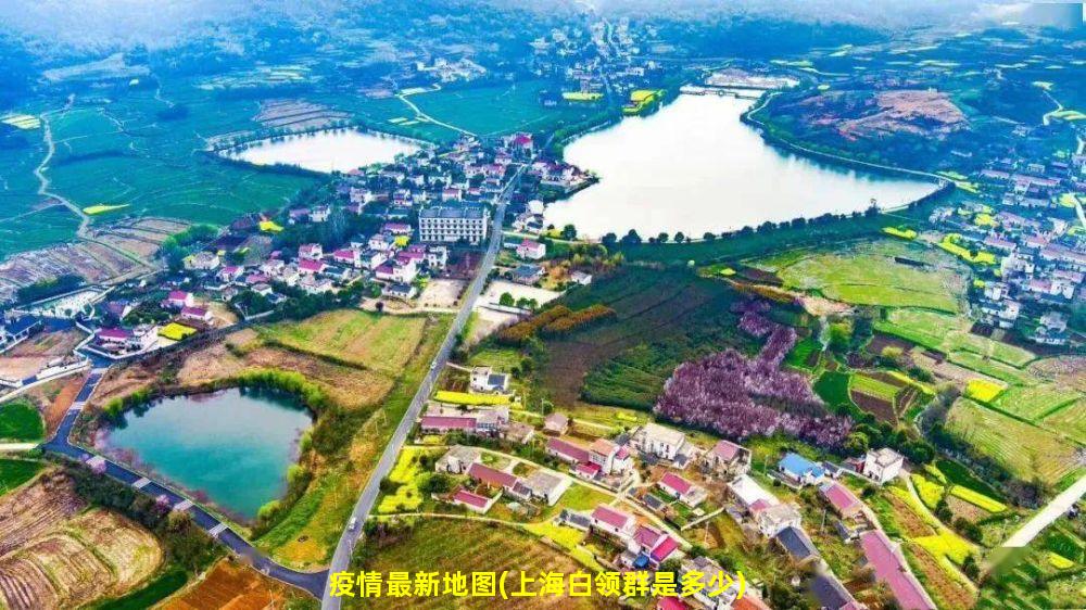 疫情最新地图(上海白领群是多少)
